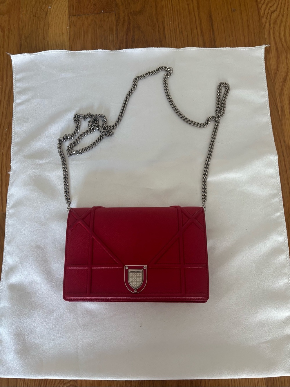 Christian Dior Preowned Red Calfskin Leather Diorama Silver Hardware